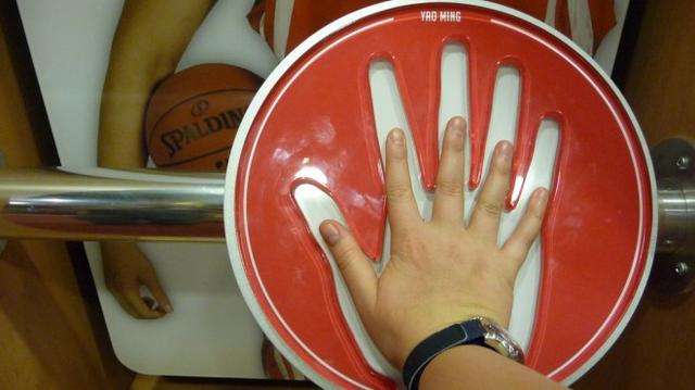 nba最大的手图 NBA球员谁的手最大(3)