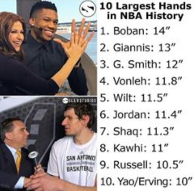 nba最大的手图 NBA球员谁的手最大(6)