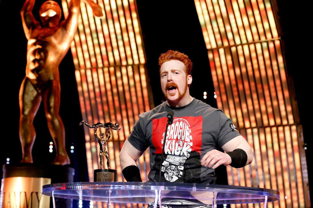 WWE美摔奖即将回归，摔角界的奥斯卡最佳男女主都被谁拿过？(4)