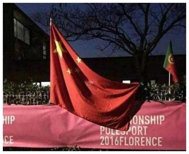 拒绝悬挂中国国旗？2016年意大利钢管舞比赛，中国运动员全体退赛(7)