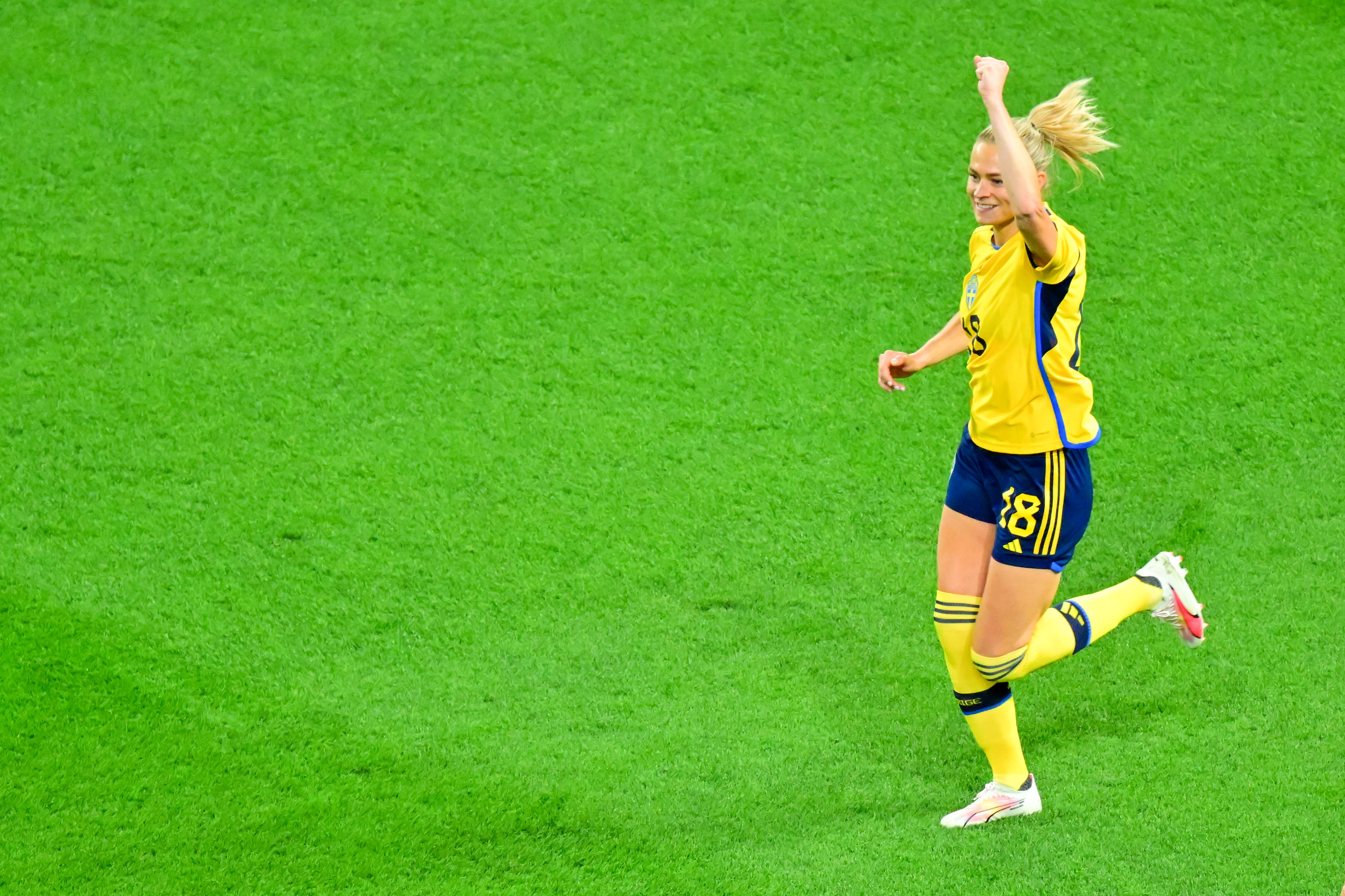 三、四名决赛：瑞典队胜澳大利亚队(9)