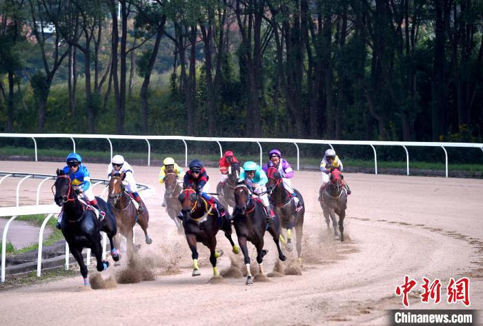 中国速度赛马公开赛（武汉站）开启江城赛马季(2)