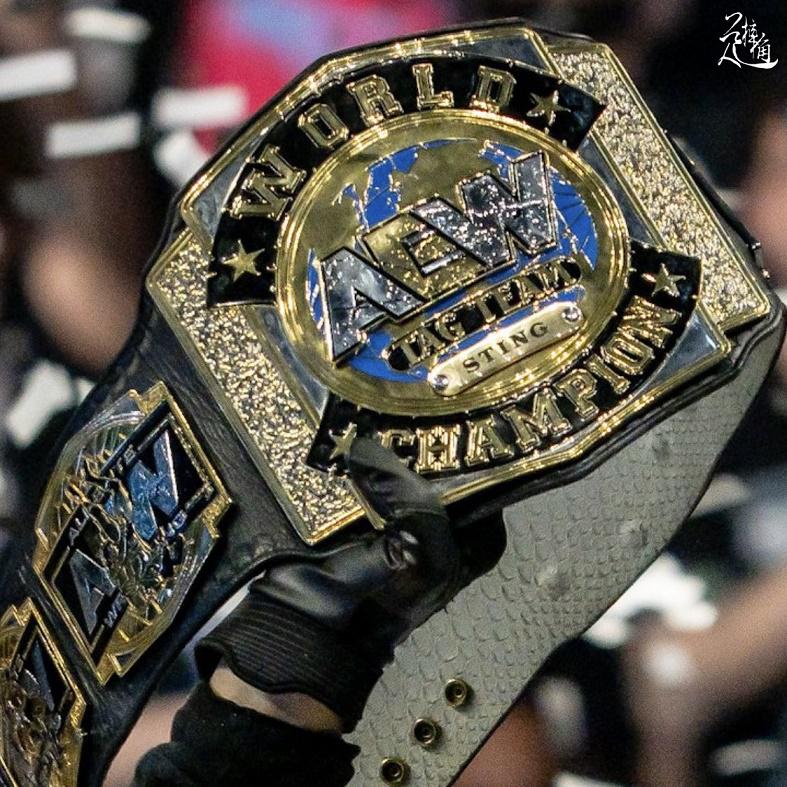 AEW双打冠军压轴PPV主战赛，斯汀献上职业生涯最后一战！(11)
