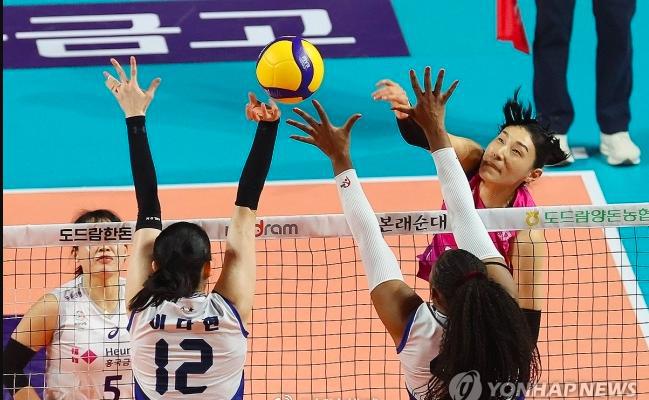 韩女排联赛现代建设夺第3冠 金软景连续2届获亚军(1)