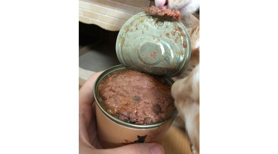 欧冠大合猫罐头 猫咪的主食罐头怎么选(3)
