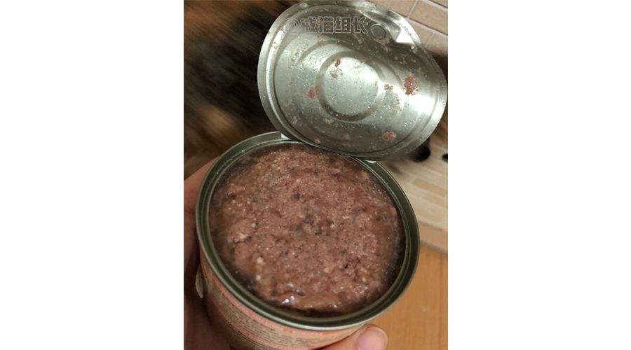 欧冠大合猫罐头 猫咪的主食罐头怎么选(7)
