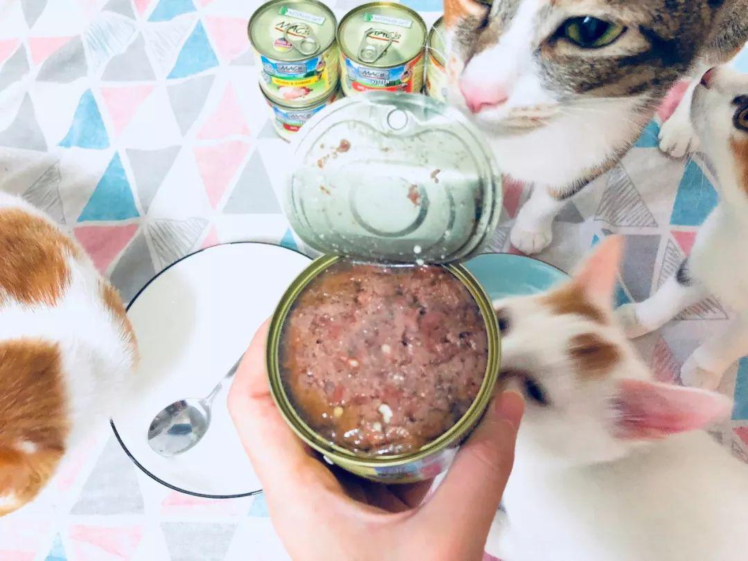 欧冠大合猫罐头 猫咪的主食罐头怎么选(27)