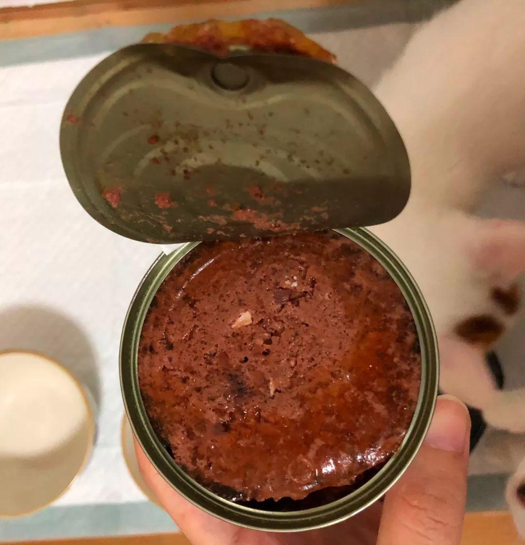 欧冠大合猫罐头 猫咪的主食罐头怎么选(32)
