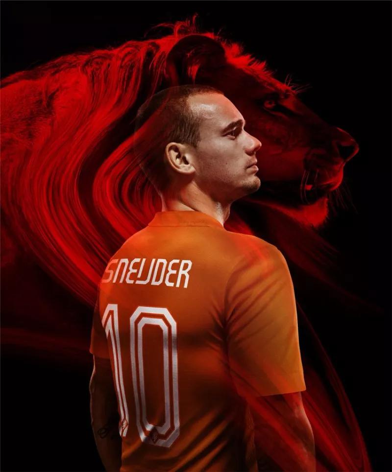 国米欧冠荷兰球星 荷兰球星斯内德宣布退役(1)