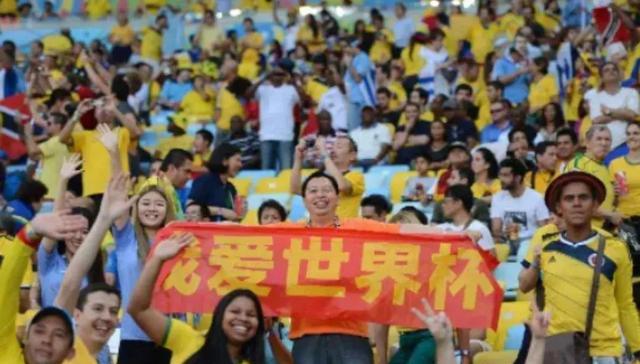 卡塔尔世界杯开赛在即，中国组队参加世界杯！(12)